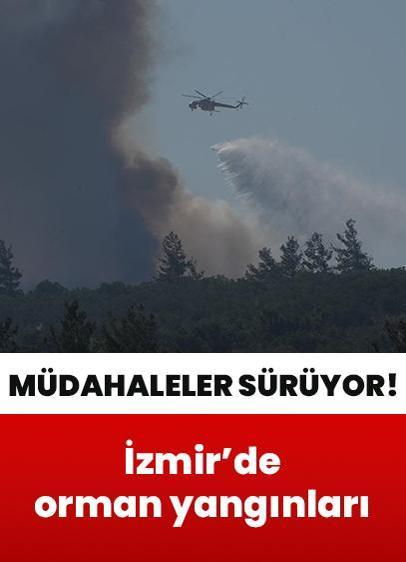 İzmir'de orman yangınları