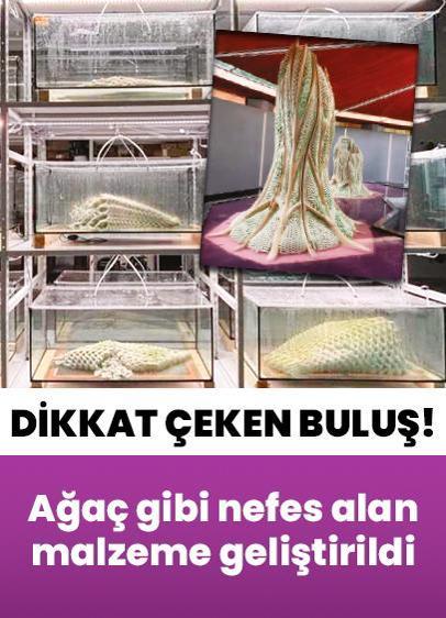 Ağaç gibi nefes alan malzeme
