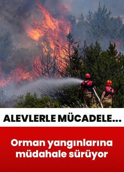 Alevlerle mücadele... İzmir ve Mersin'deki orman yangınlarına müdahale sürüyor