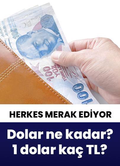 Dolar ne kadar? 1 dolar kaç TL? Dolar ne kadardan işlem görüyor?