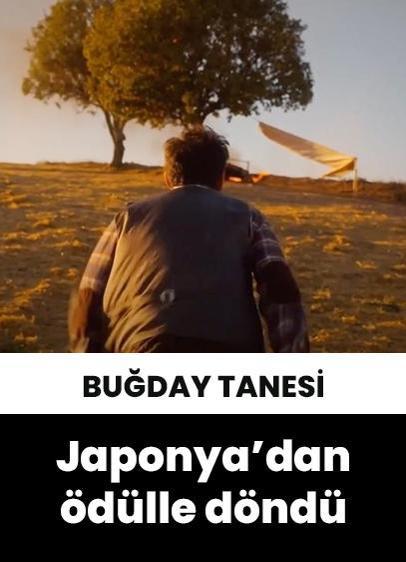 "Buğday Tanesi", Tokyo'da "En İyi Uluslararası Film" seçildi!