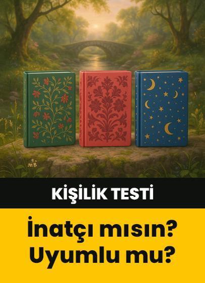 Kişilik testi: İnatçı mısın, uyumlu mu? İlk seçtiğin defter kişiliğini söylüyor