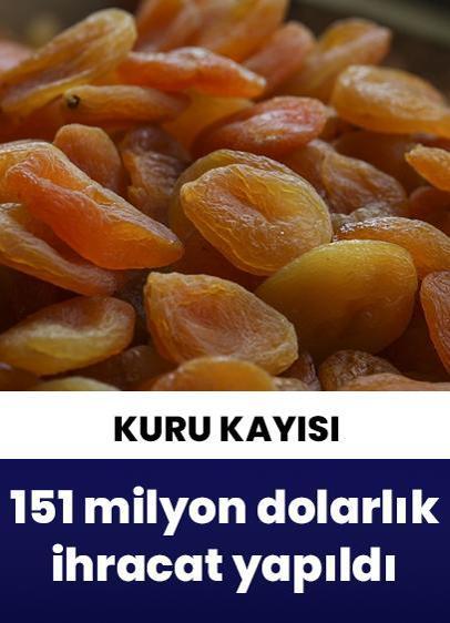 Türkiye'den 151 milyon dolarlık kuru kayısı ihraç edildi!