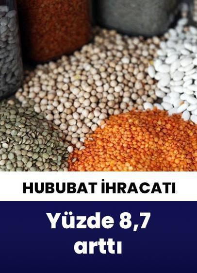 Güneydoğu'nun hububat ve bakliyat ihracatı yüzde 8,7 arttı!