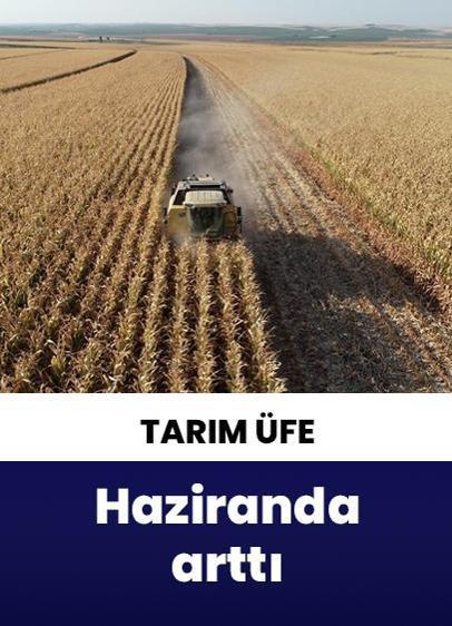 Tarım ÜFE, haziranda %18,82 arttı!