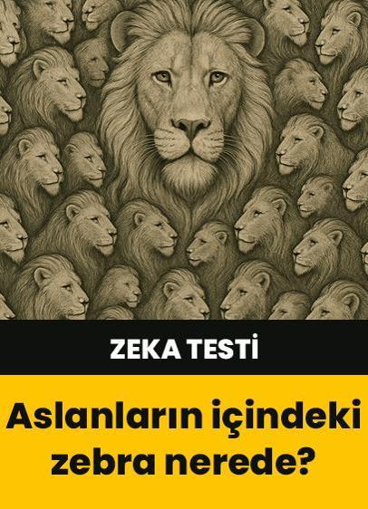 Zeka testi: Aslanların arasındaki zebra nerede? 572 kişi denedi 18'i başarılı oldu