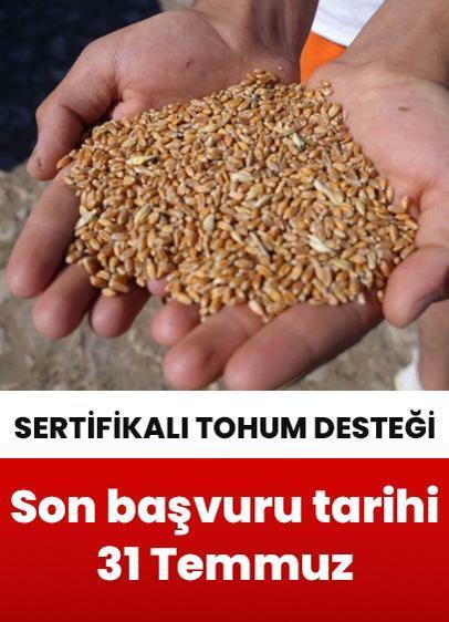 Sertifikalı tohum desteği için son başvuru tarihi 31 Temmuz