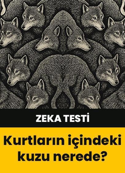 Zeka testi: Kurtların arasındaki kuzu nerede? 973 kişi denedi 11'i başarılı oldu