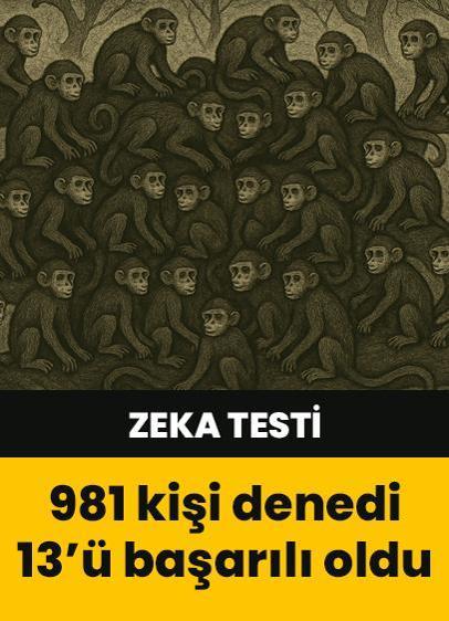 Zeka testi: Maymunların arasındaki muz nerede? 981 kişi denedi 13'ü başarılı oldu