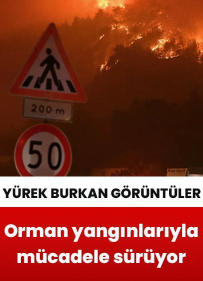 Yürek burkan görüntüler! Türkiye'nin dört ilinde orman yangınlarıyla mücadele çalışmaları sürüyor