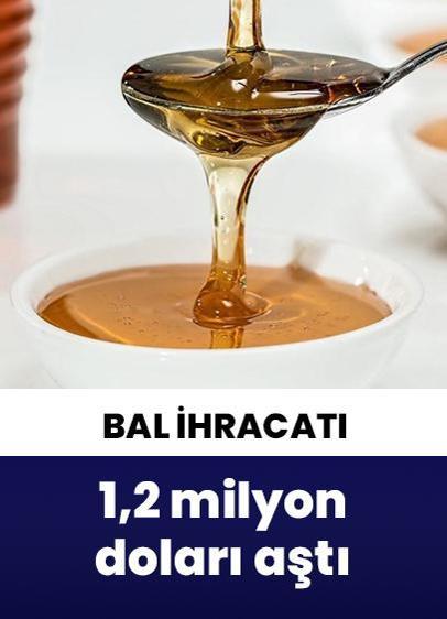 Doğu Karadeniz'den ilk 6 ayda yapılan bal ihracatı 1,2 milyon doları aştı!