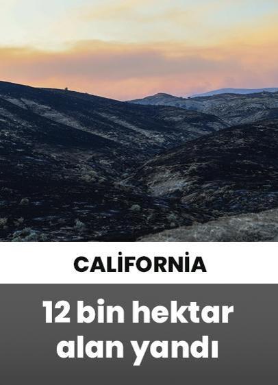 ABD'de devam eden orman yangınında, 12 bin hektardan fazla alan yandı!
