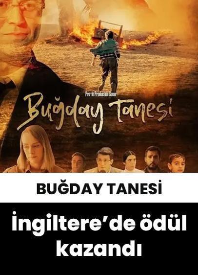 "Buğday Tanesi" İngiltere'de "En İyi Uluslararası Film" ödülünü kazandı!