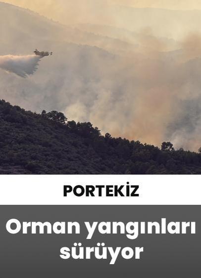 Portekiz'de orman yangınlarıyla mücadele çalışmaları sürüyor!