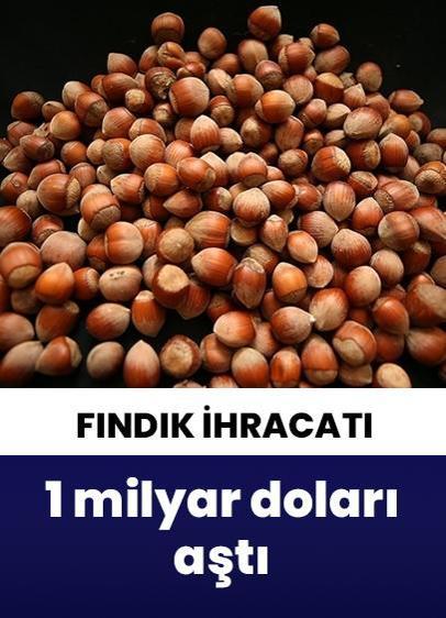 Türkiye'nin fındık ihracatı 1,3 milyar doları aştı!