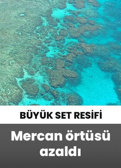 Büyük Set Resifi'ndeki mercan örtüsü rekor seviyede azaldı!