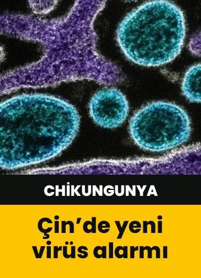 Çin'de Chikungunya virüsü alarmı! 7 bini aşkın vaka tespit edildi