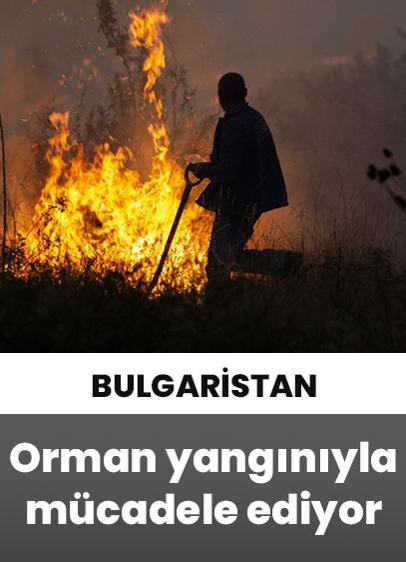 Bulgaristan'ın güneyinde orman yangınlarıyla mücadele sürüyor!