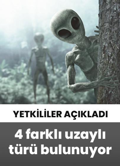 Pentagon yetkilisi 4 farklı uzaylı türünün olduğunu açıkladı!