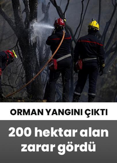 Fransa'da orman yangını! 200 hektardan fazla alan zarar gördü