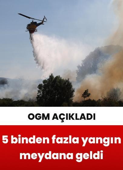 Türkiye genelinde bu yıl 5 binden fazla yangınla mücadele edildi!