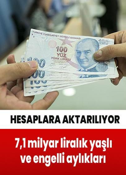 7,1 milyar liralık yaşlı ve engelli aylıkları hesaplara aktarılıyor