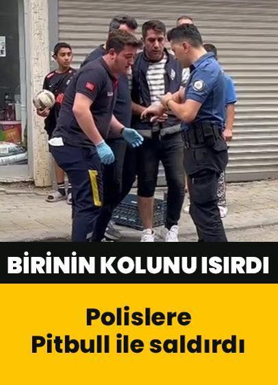 İhbara giden polislere Pitbull ile saldırdı!