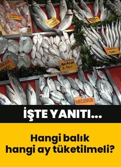 Balık takvimine göre hangi balık hangi ay tüketilmeli?