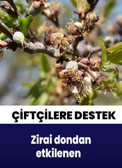 Zirai dondan etkilenen çiftçilere destek