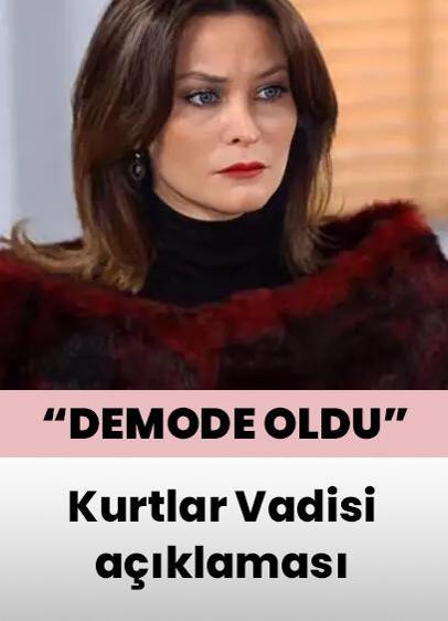 İpek Tenolcay'dan Kurtlar Vadisi açıklaması: Demode oldu