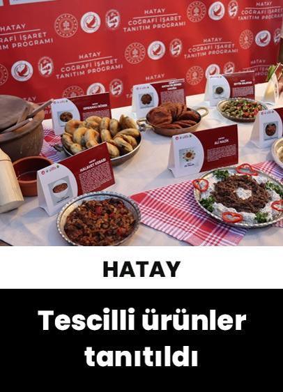 Hatay'da coğrafi işaret tescili alan 7 ürün tanıtıldı