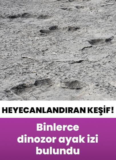 Heyecanlandıran keşif! 200 milyon yıl öncesine ait binlerce ayak izi bulundu