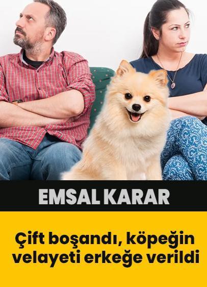 Çift boşandı, köpeğin velayeti erkeğe verildi