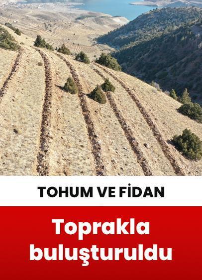 Doğu'da 9 milyon tohum ve fidan toprakla buluşturuldu