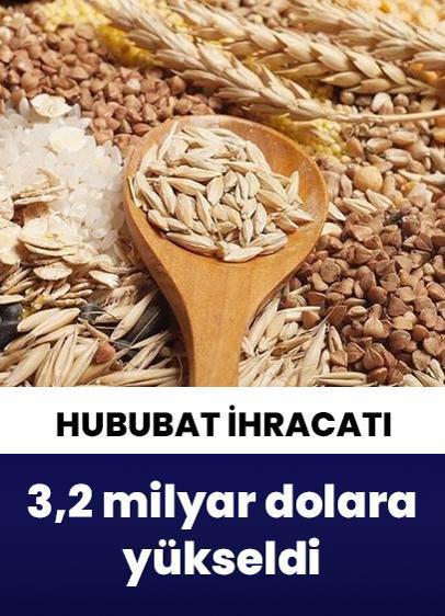 Güneydoğu'dan yapılan hububat ihracatı 3,2 milyar dolara yükseldi