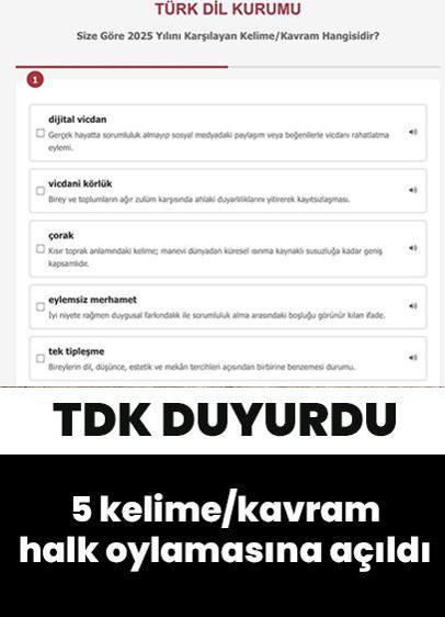 Dijital vicdan, vicdani körlük, çorak, eylemsiz merhamet, tek tipleşme... 5 kelime/kavram halk oylamasına açıldı