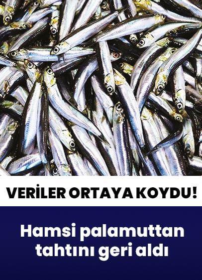 Hamsi palamuttan tahtını geri aldı
