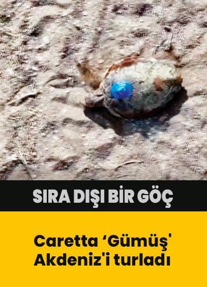 Caretta ‘Gümüş' Akdeniz'i turladı