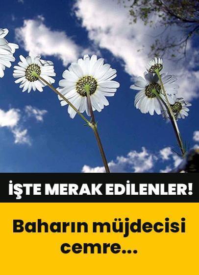 Cemre nedir? Cemre düşmesi nedir? Cemrenin düşme tarihleri...