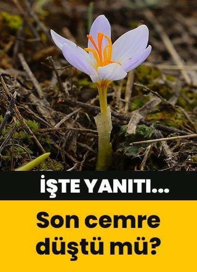 Doğanın uyanışı olarak bilinen son cemre toprağa düştü mü? İşte yanıtı...