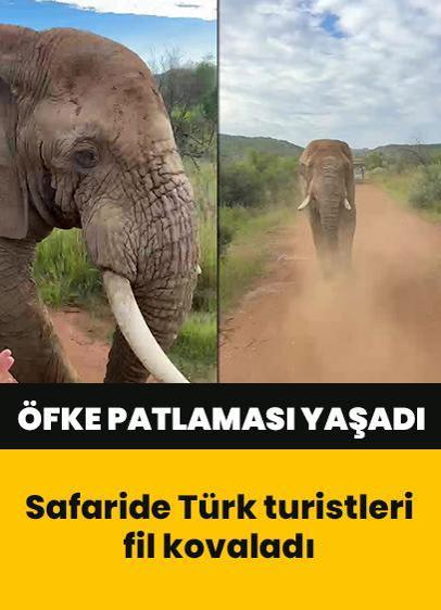 Öfke patlaması yaşayan fil peşlerinden kovaladı! Türk turistler safaride ölümden döndü