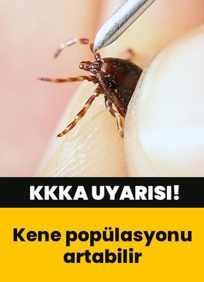 Uzmanından KKKA uyarısı: Kene popülasyonu artabilir!