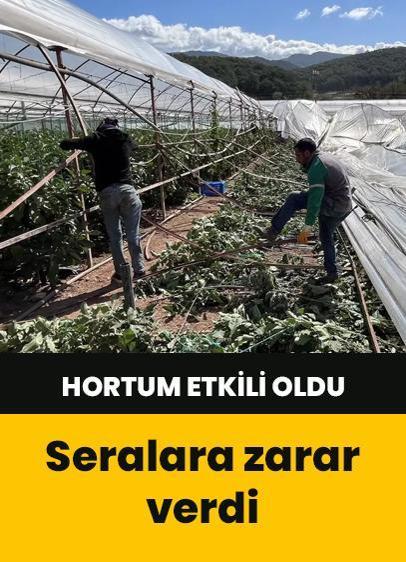 Antalya'da hortum seralara zarar verdi