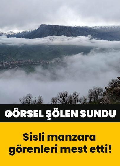 Doğaseverlere görsel şölen: Sisli manzara görenleri mest etti