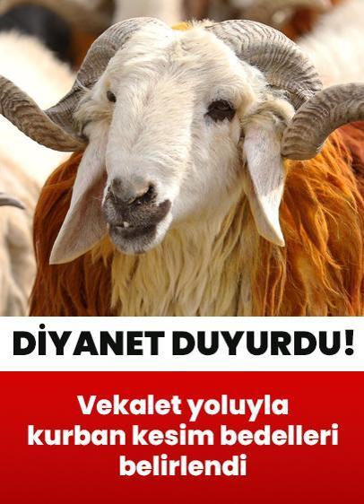 Diyanet İşleri duyurdu! Vekalet yoluyla kurban kesim bedelleri belirlendi