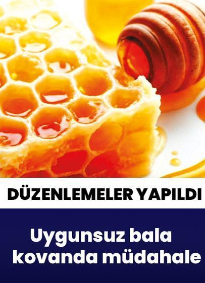 "Tarım ve Orman Bakanlığı, Türk Gıda Kodeksi Bal Tebliği'nde Değişiklik Taslağı hazırlayarak görüşe sundu"