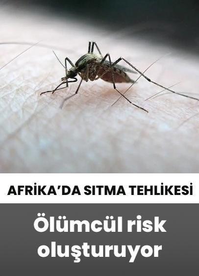 Afrika'da sıtmayla mücadelede tehdit devam ediyor