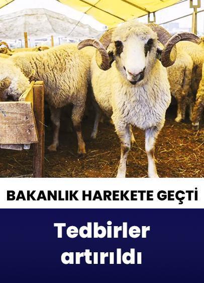 Kurban Bayramı öncesi hastalık ve kesimlere ilişkin tedbirler artırıldı