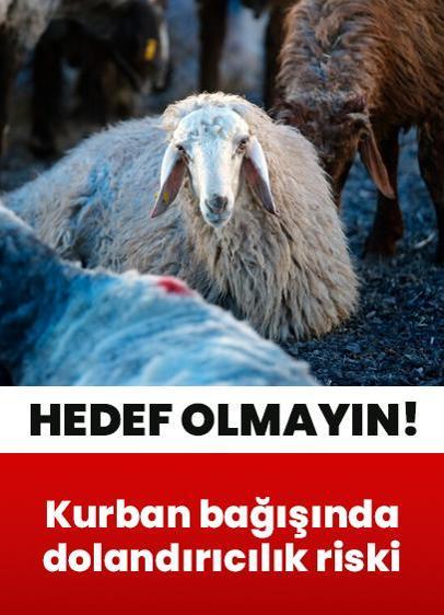 İnternetten kurban bağışında dolandırıcılık riski: Hedef olmayın, bunlara dikkat! Uzmanlardan uyarı
