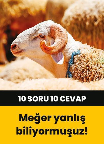 Kurban ibadetiyle ilgili doğru bilinen bazı yanlışlar: 10 soru 10 cevap